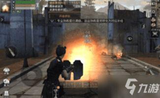 明日之后2爆料攻略最新,生存技巧与建筑秘籍大公开  第2张